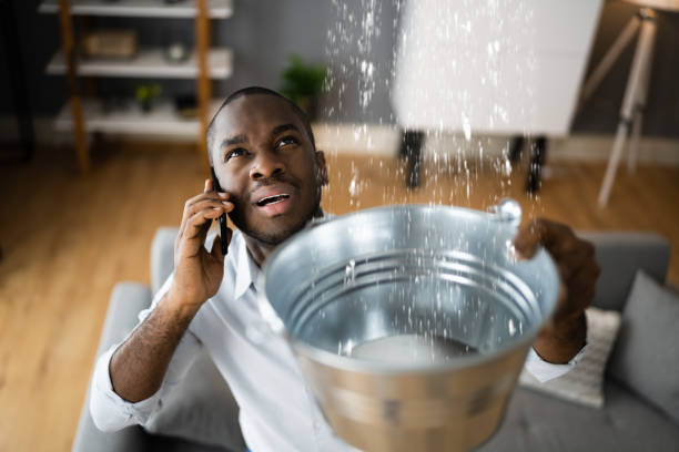 Best Professional water damage repair  in Pulaski, VA