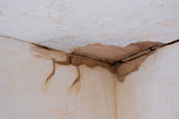Best Sewage cleanup and water damage restoration  in Pulaski, VA